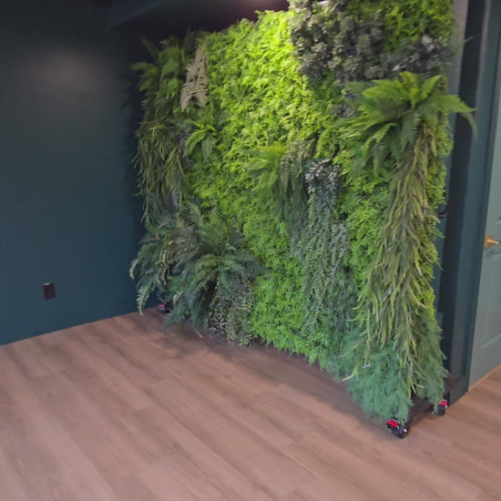 VID_20260106_122306_782_bsl.mp4